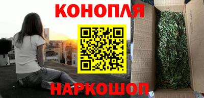 сатива Пугачёв
