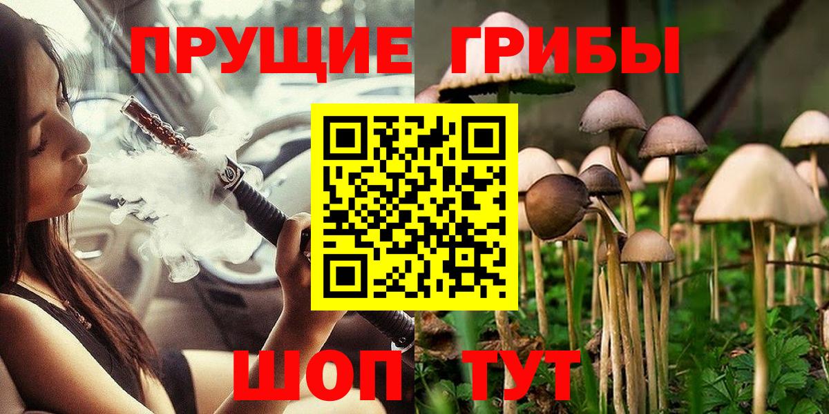 Псилоцибиновые грибы GOLDEN TEACHER  Вход с VPN  даркнет сайт  Псилоцибиновые грибы MAGIC MUSHROOMS  Соль-Илецк 