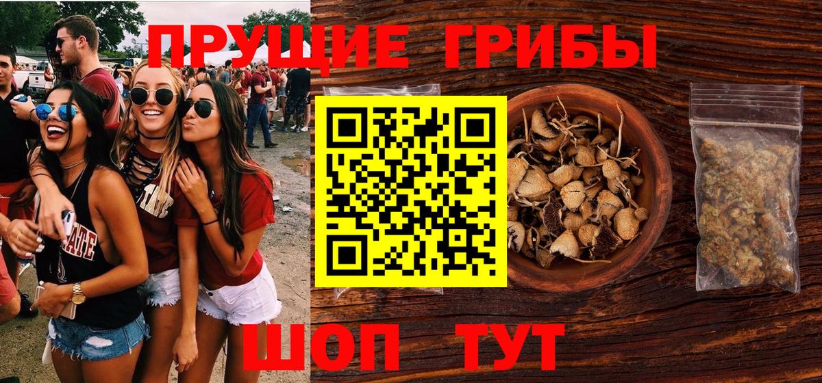 Галлюциногенные грибы Magic Shrooms Соль-Илецк